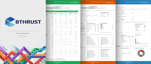 WebCEO reports